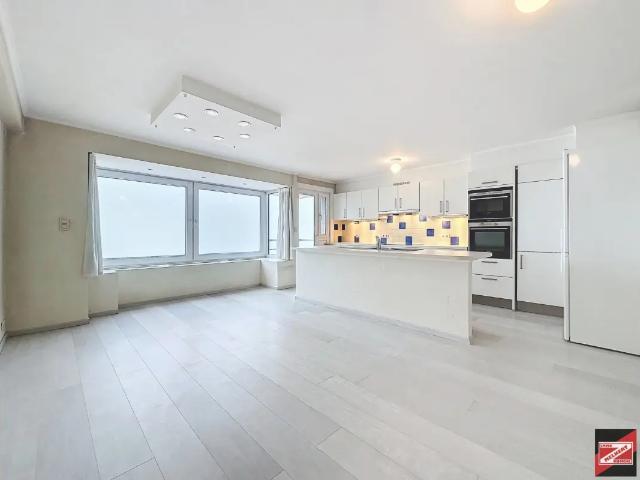 Appartement location à Knokke-heist, West-Vlaanderen