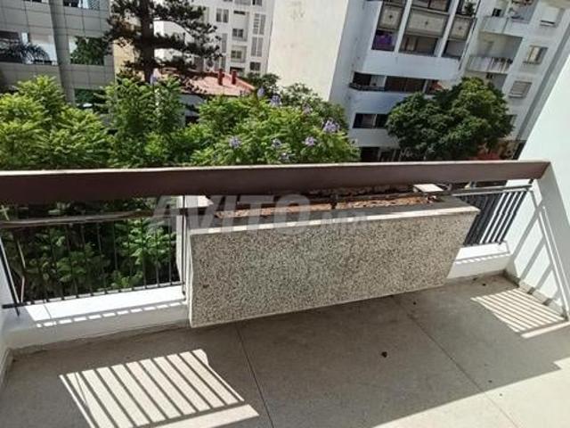 Appartement location