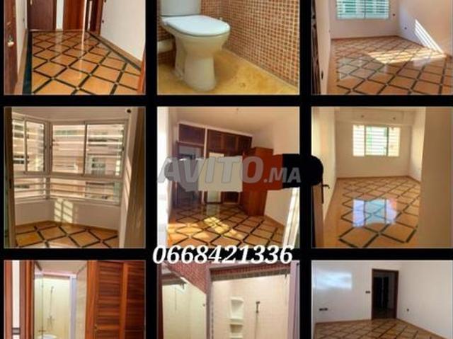 Appartement location