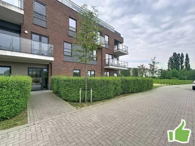 Appartement location à Mouscron, Wallonie