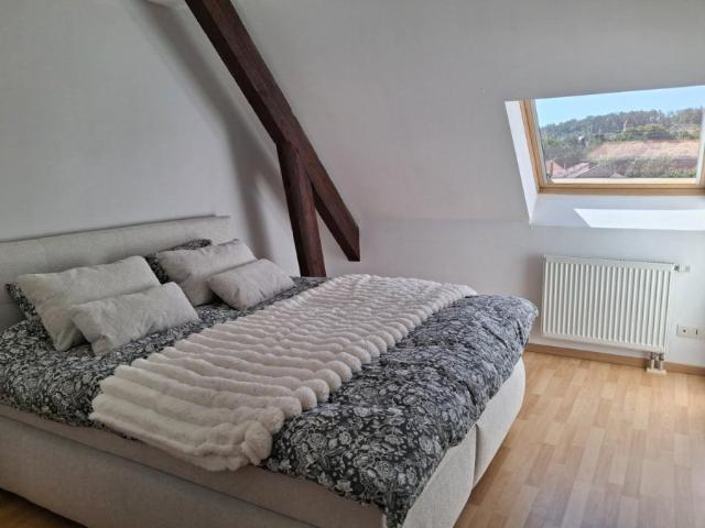 Appartement location à Sarreguemines, Bitche