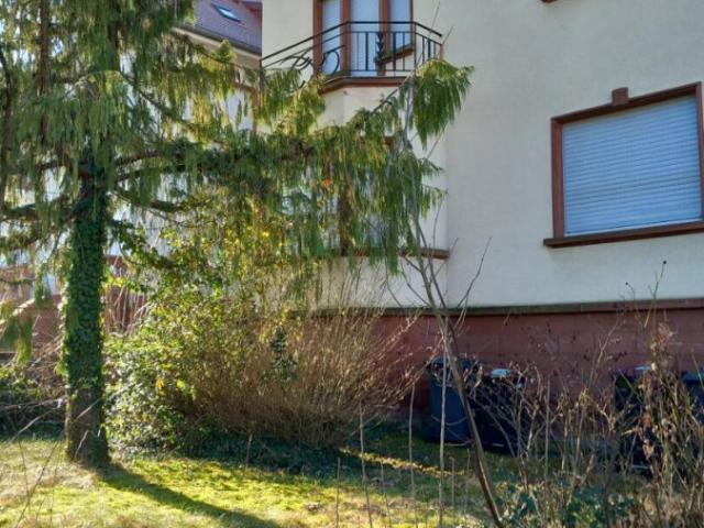 Appartement location à Sarreguemines, Bitche