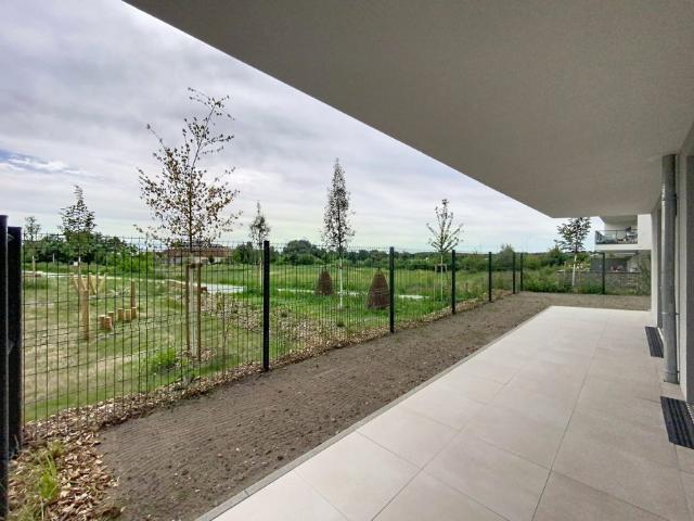 Appartement location à Haguenau-Wissembourg, Haguenau