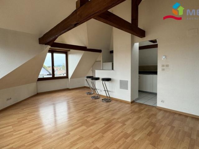 Appartement location à Strasbourg, Holtzheim