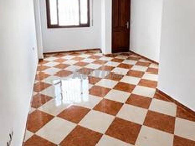 Appartement location à Centre Ville