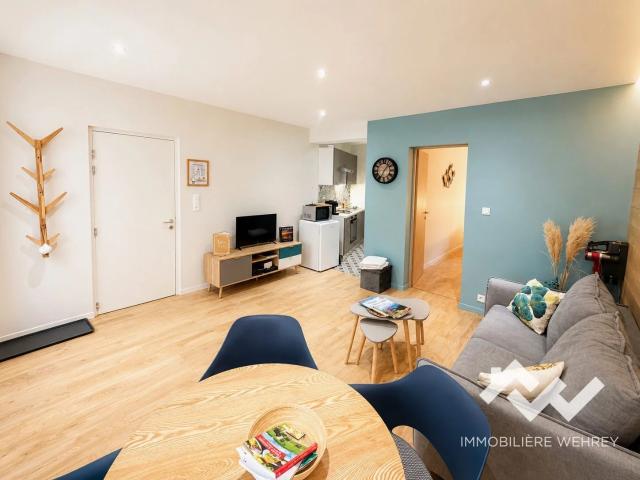 Appartement location à Sarrebourg-Château-Salins, Munster