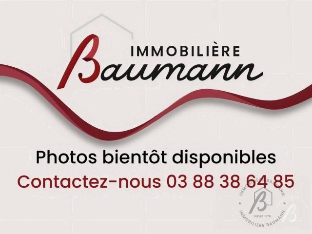 Appartement location à Obernai, Collectivité européenne d'Alsace