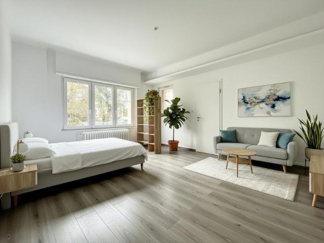 Appartement location à Mulhouse, Pfastatt