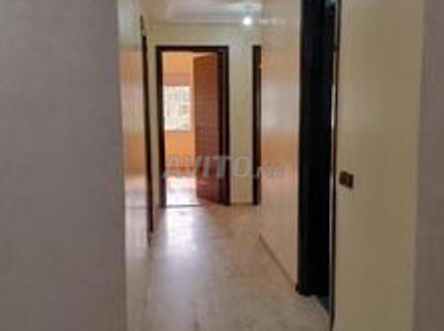 Appartement location à Centre Ville