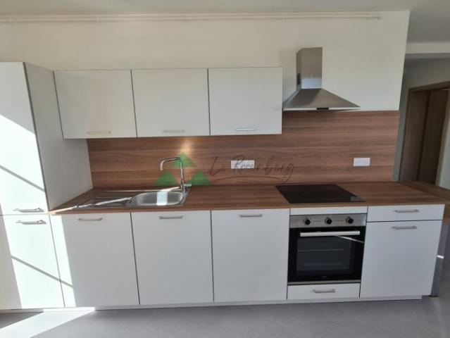 Appartement location à Altkirch, Roppentzwiller