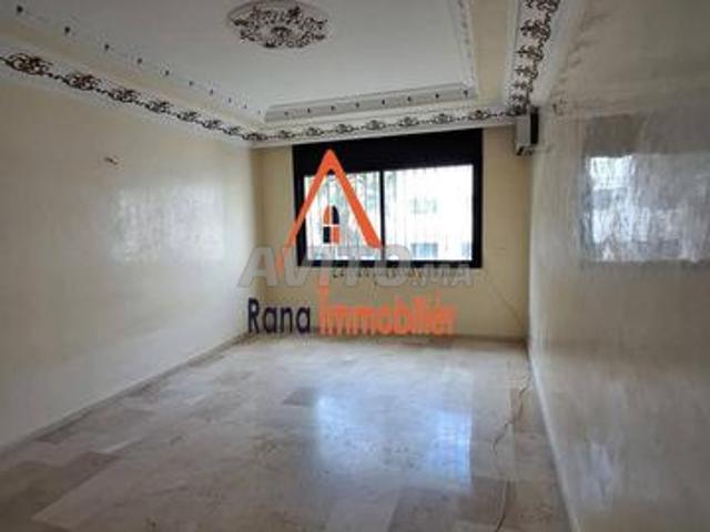 Appartement location