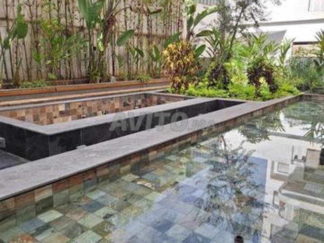 Appartement location