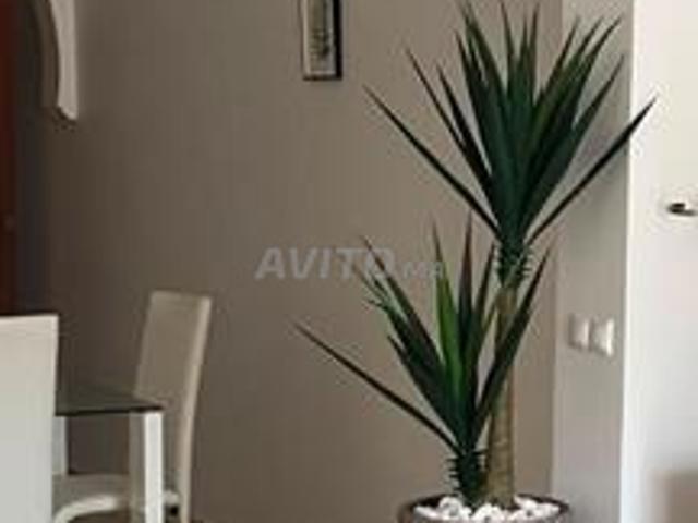 Appartement location à Saida