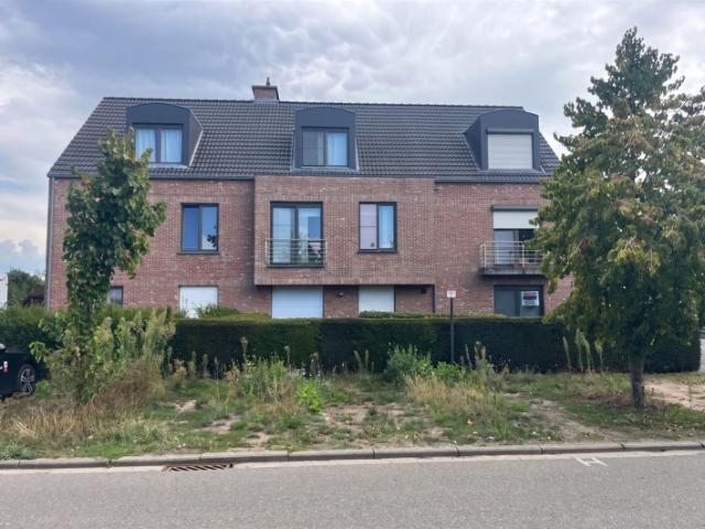 Appartement location à Meerhout