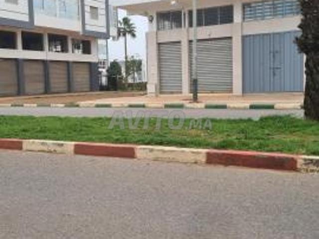 Appartement vente