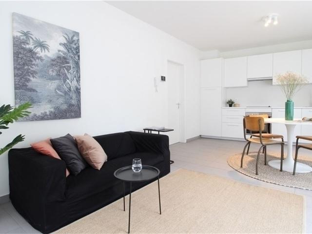 Appartement location à Mortsel, Antwerpen