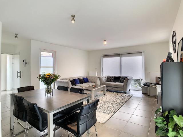 Appartement location à Renaix, Oost-Vlaanderen