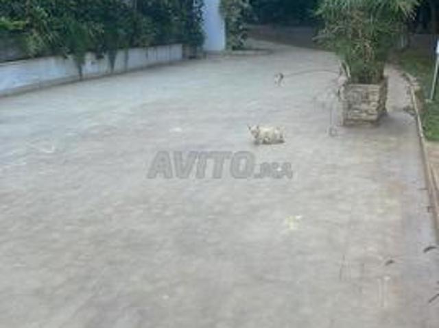 Appartement vente à Témara