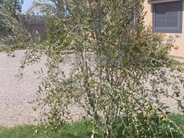 Propriété vente à Gharb-Chrarda-Beni Hssen