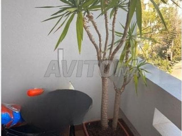 Appartement vente à Hay Riad, Berkane