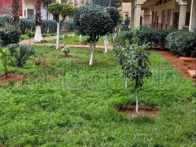 Appartement vente à Meknès