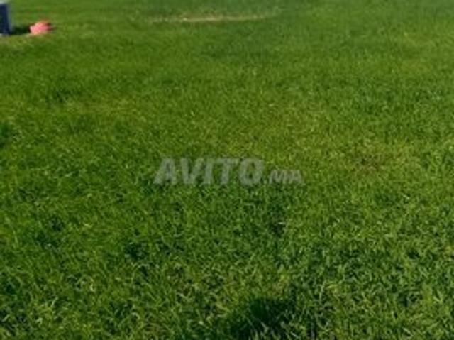 Maison vente à Sidi Rahal, Doukkala-Abda