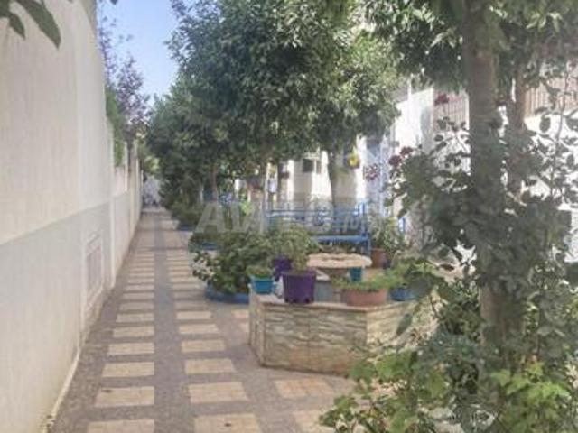 Appartement vente à Mont Fleuri