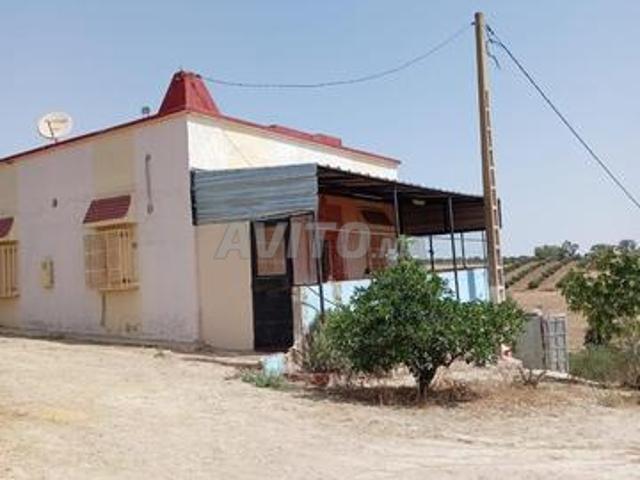 Propriété vente à Khémisset