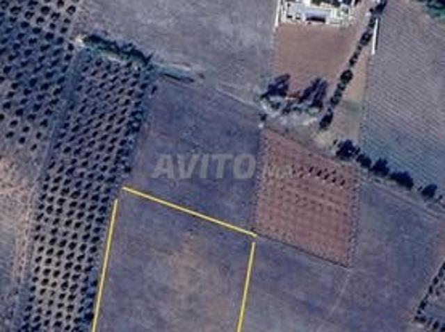 Propriété vente à Agadir, Oued ed Dahab-Lagouira