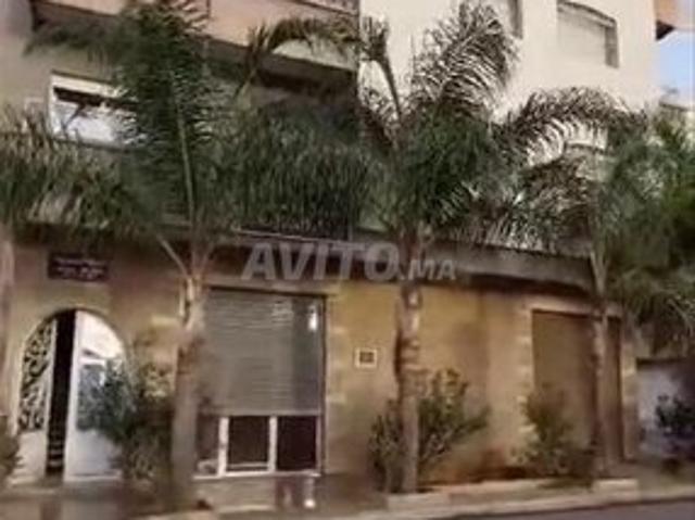 Appartement vente