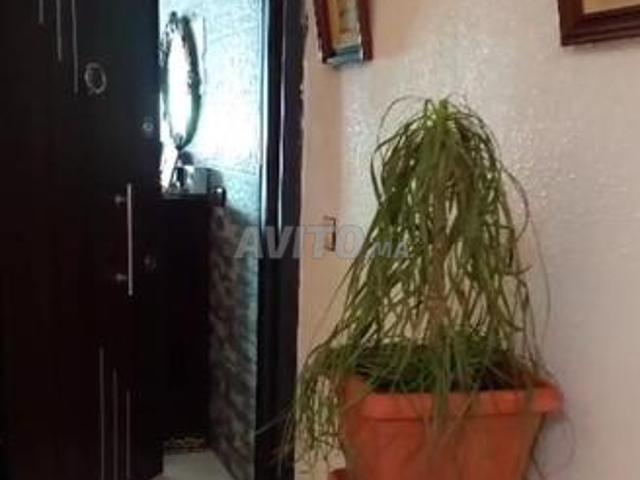 Appartement vente à Meknès