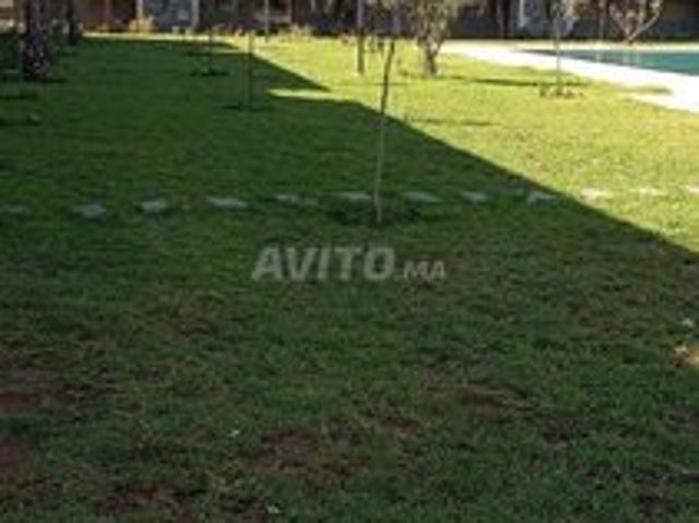 Appartement vente