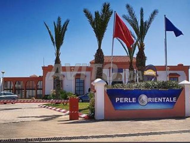 Appartement vente à Saida