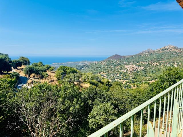 Appartement vente à Calvi, Cateri