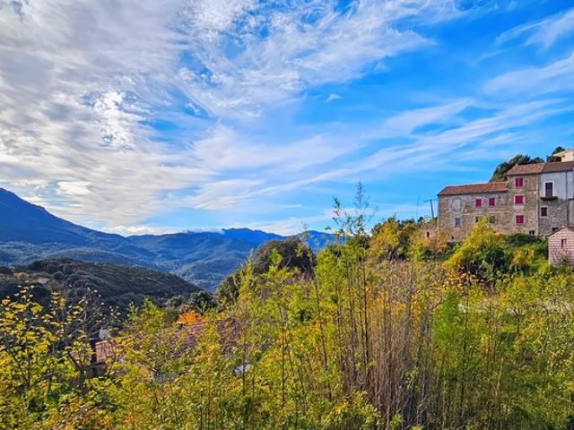 Appartement vente à Sartène, Levie