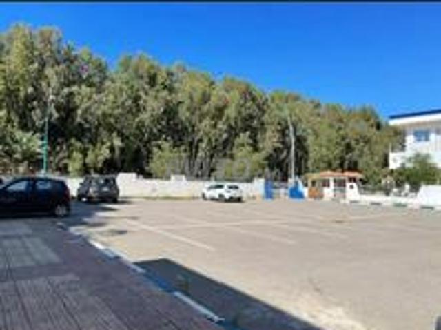 Appartement vente à Saida