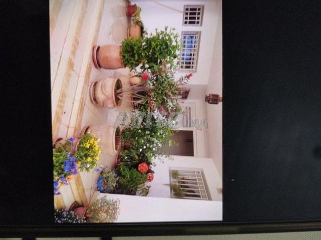 Appartement vente à Meknès