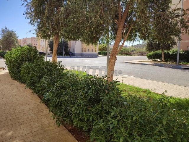 Appartement vente à Saida