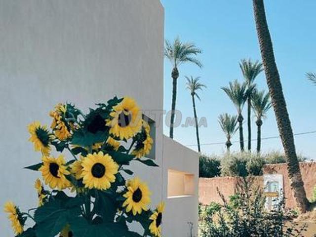Appartement vente à Daoura