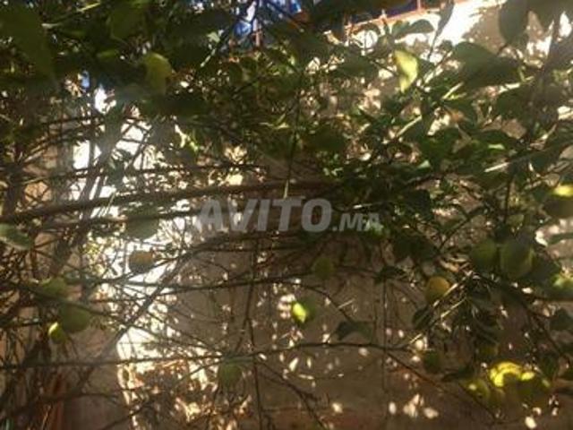 Appartement vente à Dcheira El Jihadia, Oued ed Dahab-Lagouira