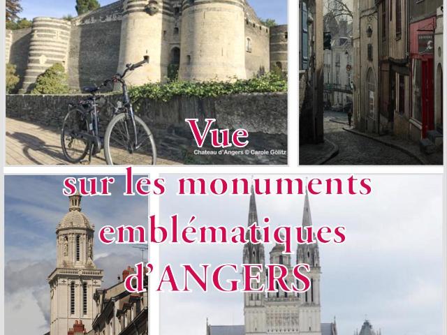 Appartement vente à Angers