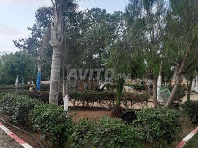 Propriété vente à El Ma, Gharb-Chrarda-Beni Hssen