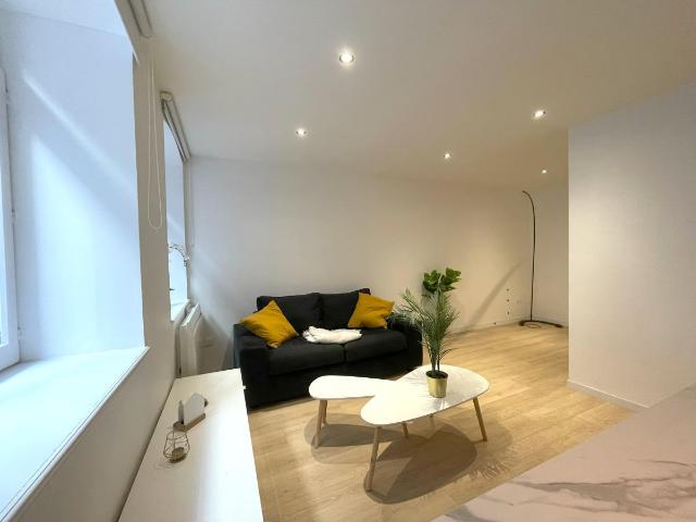 Appartement vente à Lille