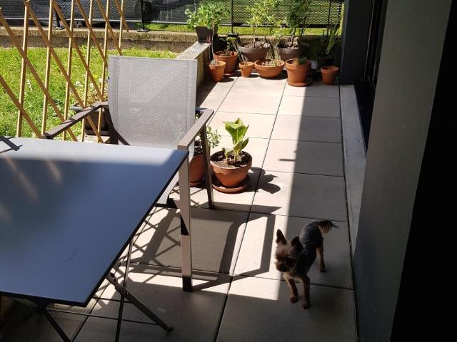 Appartement vente à Pontivy, Morbihan