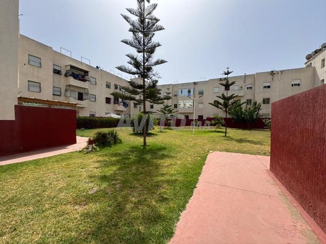 Appartement vente à Témara