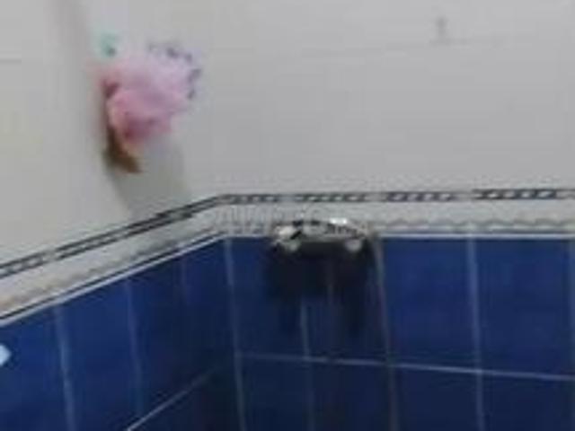 Appartement vente à Tangero, Tanger-Tétouan