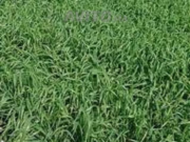 Appartement vente à Anfa, Sidi Moumen