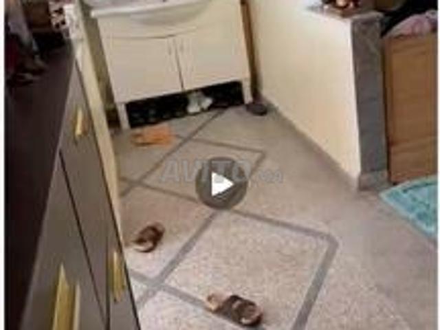 Appartement vente à Salé