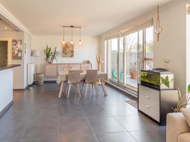 Appartement location à Willebroeck, Antwerpen