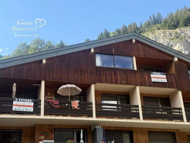 Appartement vente à Sous les Saix, Abondance